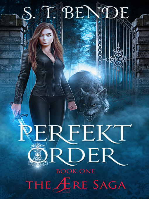 Title details for Perfekt Order (The Ære Saga Book 1) by S.T. Bende - Available